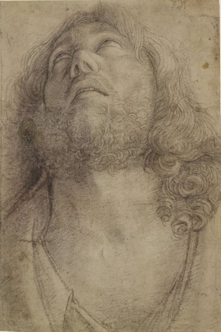 Giovanni Bellini, Testa di un uomo che guarda verso l’alto, con i capelli lunghi e barba, 1450-1516 - British Museum, Londra