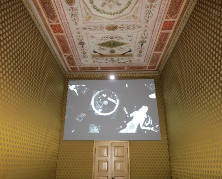 Growing Roots - veduta della mostra presso Palazzo Reale, Milano 2015