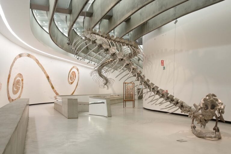 Huang Yong Ping – Bâton Serpent - veduta della mostra presso il MAXXI, Roma 2015 - photo Musacchio & Ianniello