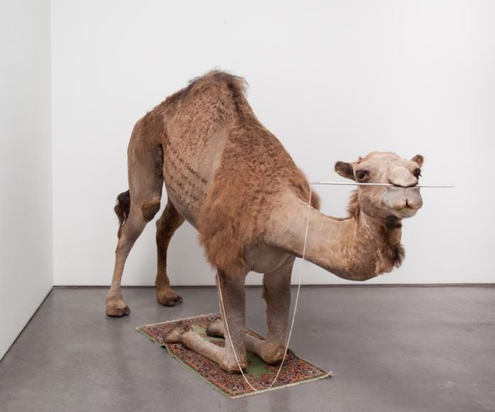 Huang Yong Ping, Camel, 2012 - courtesy dell'artista e Gladstone Gallery