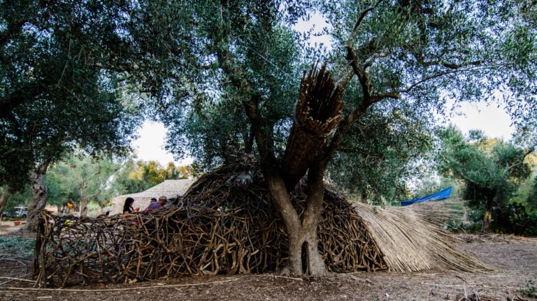 Il Parco dei Paduli 1 Premio del Paesaggio del Consiglio d’Europa, Italia in corsa con gli ulivi. Sarà il Parco Agricolo dei Paduli, nel leccese, a rappresentare il Paese a Strasburgo