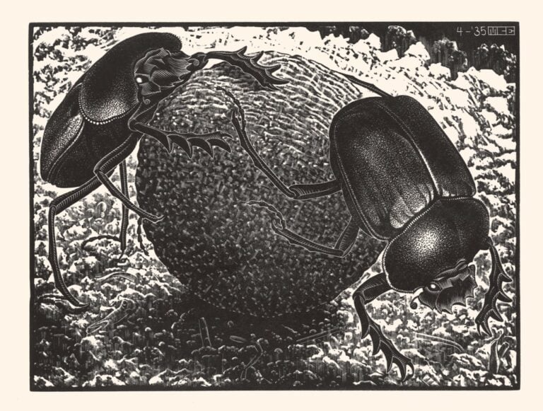 Maurits Cornelis Escher, Scarabei