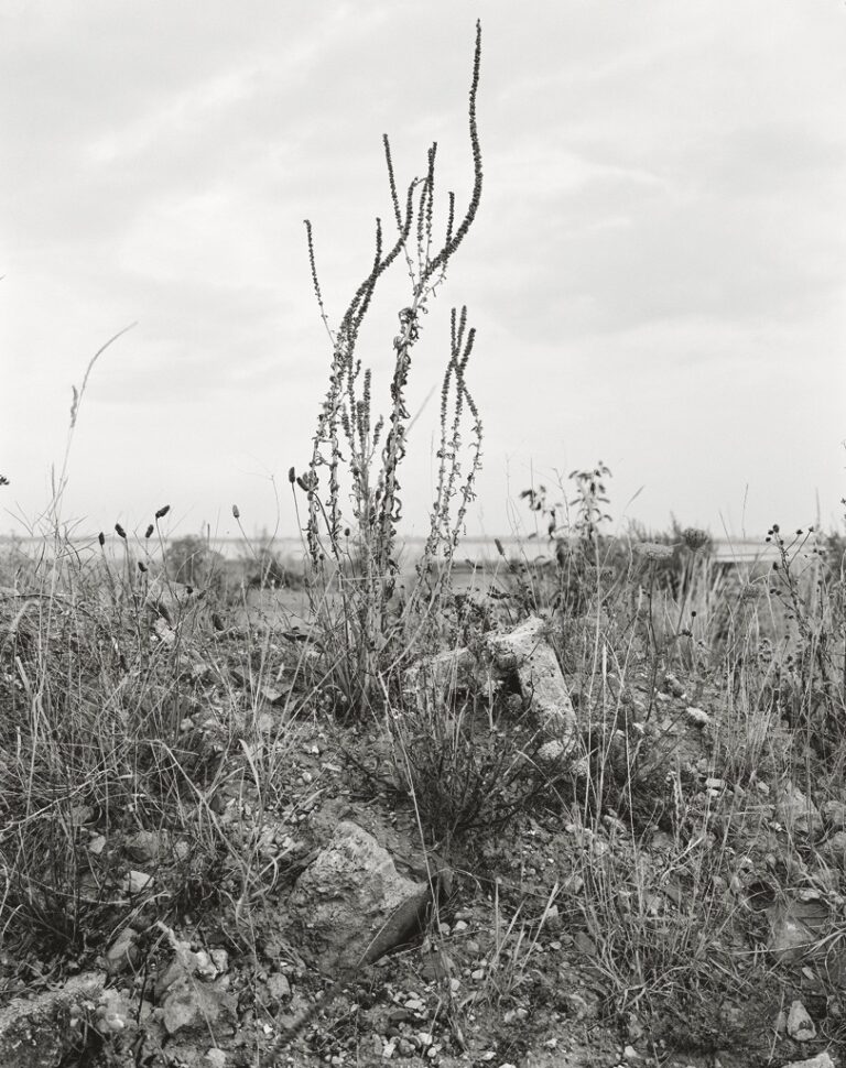 Senza titolo, dalla serie Humber, 2010-2011 © Vanessa Winship