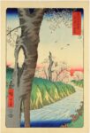 Utagawa Hiroshige, Koganei, nella provincia di Musashi, 1858 - Venezia, Museo d’Arte Orientale