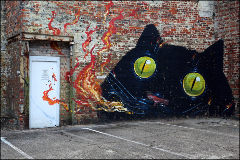 hitnes gatto Hitnes, artista ed esploratore. Dall'amore per la natura ai grandi murales urbani: viaggio on the road studiando gli uccelli d'America...