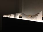 2 Labics in mostra a Roma, da Stefania Miscetti. Cinquanta modelli realizzati dallo studio romano, per esplorare il ruolo della struttura in architettura