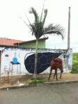 Andreco Brasil 0.jpg Italiani in trasferta. I wall painting di Andreco, ispirati alla crisi idrica brasiliana: riflessioni sull’ambiente, tra i muri e il paesaggio di San Paolo