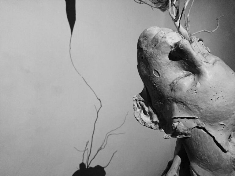 Dario Puggioni – Il fallimento dell’udito - veduta della mostra presso la White Noise Gallery, Roma 2015
