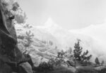 Hiroshi Sugimoto, Birds of The Alps, 2012 - courtesy l’artista