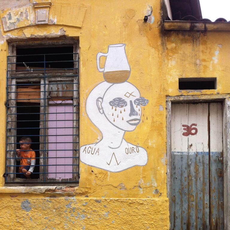 IMG 7114 1 Italiani in trasferta. I wall painting di Andreco, ispirati alla crisi idrica brasiliana: riflessioni sull’ambiente, tra i muri e il paesaggio di San Paolo