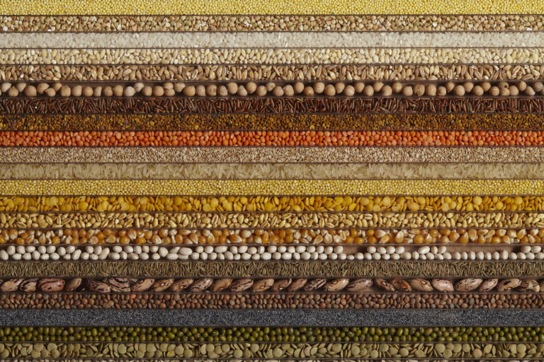 Il pane e le rose - veduta della mostra presso la Fondazione Pomodoro, Milano 2015 - dettaglio dell'opera di Loris Cecchini