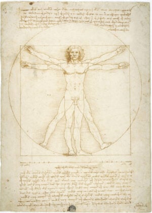 Leonardo da Vinci a Milano. A Palazzo Reale dopo sei anni di ricerca