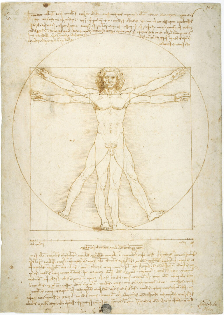 Leonardo 1452-1519 - veduta della mostra presso Palazzo Reale, Milano 2015 - Leonardo da Vinci, Uomo vitruviano, 1490 ca