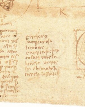 Artecucina: Leonardo da Vinci, genio e regolatezza