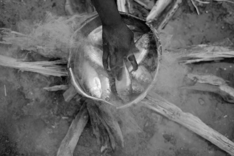Mário Macilau, A Fish Story, fotografia dalla serie Growing on darkness. Crescendo na escuridão, 2012-2015 - photo Mário Macilau © Mário Macilau, Courtesy Cataldo Colella