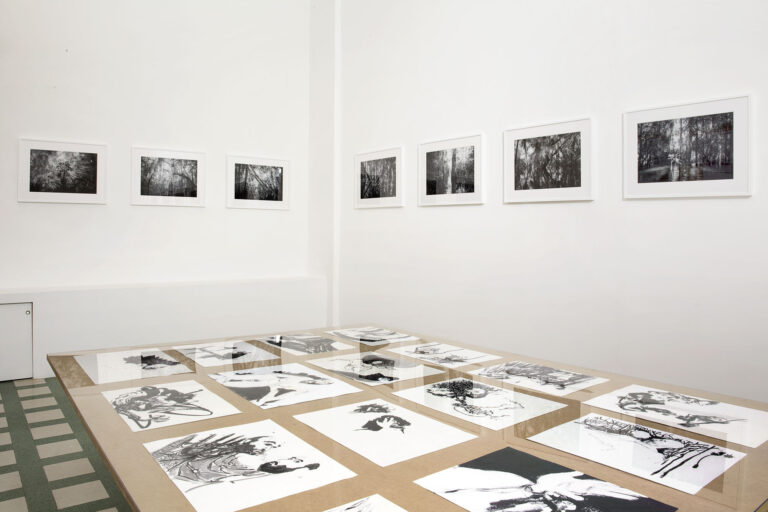 Yael Bartana - veduta della mostra presso la Galleria Raffaella Cortese, Milano 2015 - photo Lorenzo Palmieri