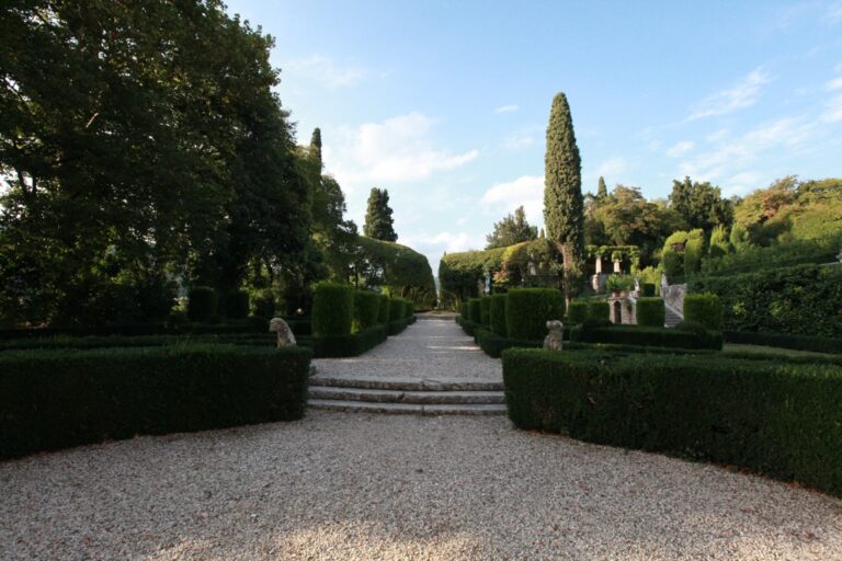 Giardino di Pojega Guerrieri Rizzardi - il viale di carpini