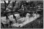 Henri Cartier-Bresson, L’Isle-sur-la-Sorgue, Francia, settembre 1988 © Henri Cartier-Bresson - Magnum Photos - Contrasto