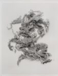 N. Dash, Untitled, 2012. Stampa alla gelatina d’argento cm 49,5 x 40,6. Courtesy l’artista