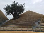 Padiglione Zero Expo Milano 2015 4 Expo updates: Davide Rampello racconta in video il Padiglione Zero e l'intreccio tra cibo, sapere, vita