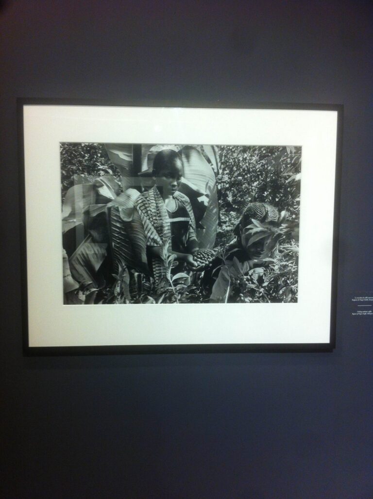 Sebastiao Salgado Fondazione Bevilacuqa La Masa Venezia Venezia Updates: il senso di Sebastiao Salgado per il caffè. Alla Fondazione Bevilacqua La Masa la mostra che mette a nudo le condizioni di lavoro nelle piantagioni, ecco le immagini