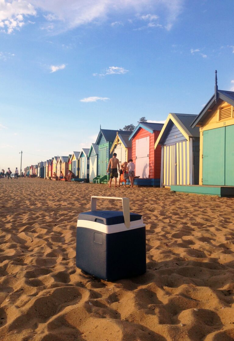 Un refrigeratore portatile esky prodotto dalla Nylex