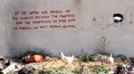 Banksy a Gaza 3 Benvenuti all'inferno. Gaza, Banksy e il parkour tra le macerie