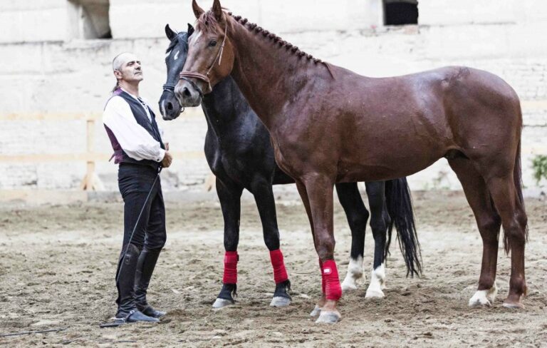 Giovanni Lindo Ferretti, L'opera equestre-Saga IV. Il canto dei canti - photo Andrea Grassi