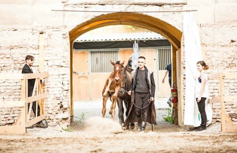 Giovanni Lindo Ferretti, L'opera equestre-Saga IV. Il canto dei canti - photo Andrea Grassi