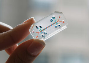 Un microchip vince il Design of the Year 2015. Il Design Museum di Londra premia Human Organ-on-Chips, dispositivo che mima gli organi umani