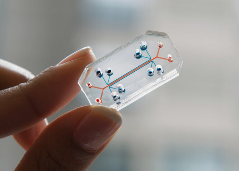 Human Organ on Chips vincitore del Design of the Year 2015 Un microchip vince il Design of the Year 2015. Il Design Museum di Londra premia Human Organ-on-Chips, dispositivo che mima gli organi umani