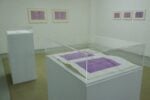 Irma Blank – Pink Writings - veduta della mostra presso Lucie Fontaine, Milano 2015