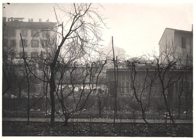 La vigna di Leonardo fotografata prima dell’espianto parziale del 1920