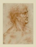 Leonardo da Vinci, Testa maschile di profilo verso destra coronata di alloro (1506-1508 circa) - Torino, Biblioteca Reale