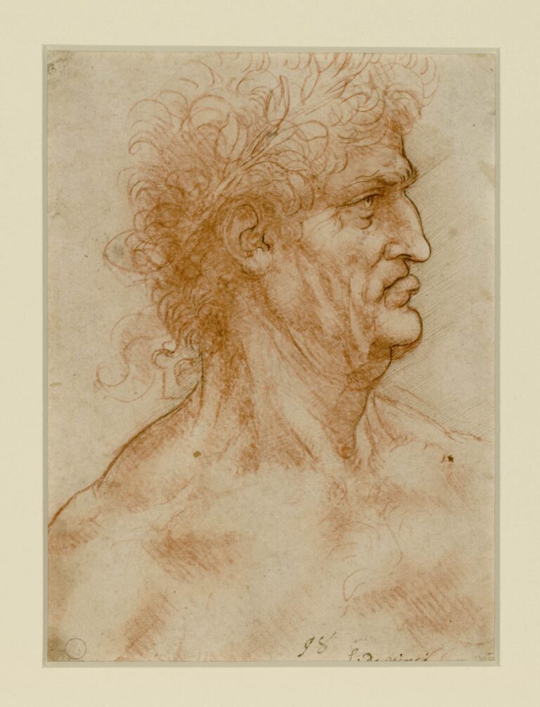 Leonardo da Vinci, Testa maschile di profilo verso destra coronata di alloro (1506-1508 circa) - Torino, Biblioteca Reale