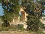 Rovine di Tiro Quando l'Unesco fa il suo lavoro a dovere. L'organismo scende in campo in Libano per proteggere i siti archeologici di Tiro e Baalbeck