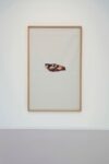 Sophie Ko Chkheidze, Punto Cardinale, 2015