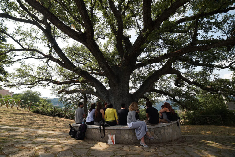 Traduzioni workshop Aquilonia 2015 14 Irpinia, memorie di un terremoto. Ricostruendo il futuro con l’arte e il design. Foto-story del workshop condotto da Bianco-Valente, Andrea Anastasio, Vittorio Venezia