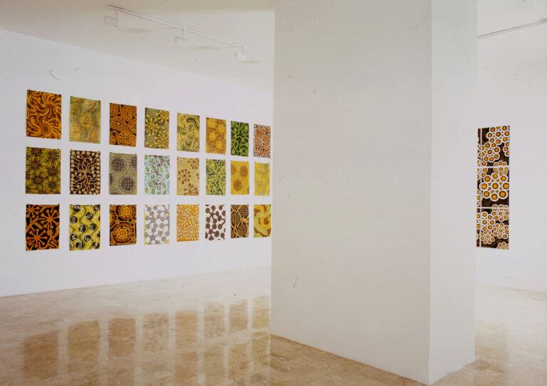 Alberto Di Fabio, ri-impianto, 2004 - Galleria Umberto Di Marino, Giugliano