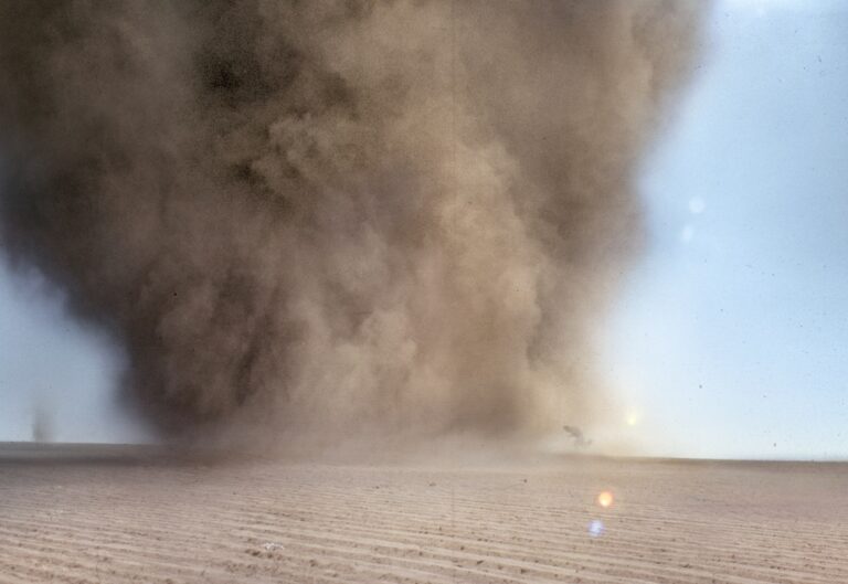 Francis Alÿs, Tornado, Milpa Alta, 2000-10 – still da video - photo Francis Alÿs e Jorge Golem