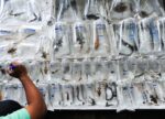 Jo-Anne McArthur, Chatuchak Market, Thailand 2011