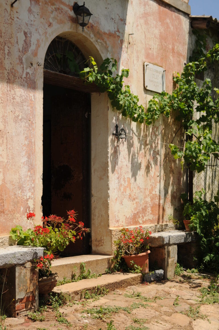 La tenuta Modigliani in Sardegna 6 La Sardegna riscopre la tenuta dove soggiornò Amedeo Modigliani. Recuperata e valorizzata la residenza della famiglia del grande artista, nei dintorni di Iglesias