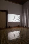 Lina Selander – veduta della mostra presso la Galleria Tiziana Di Caro, Napoli 2015