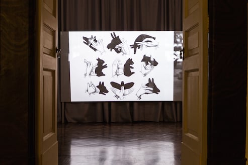 Lina Selander – veduta della mostra presso la Galleria Tiziana Di Caro, Napoli 2015
