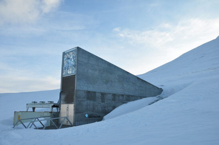 MAXXI. FOOD Dal cucchiaio al mondo, Global Seed Vault_04, Peter W. Soderman, Global Seed Vault - Banca mondiale dei semi di Svalbard, Spitsbergen, Norway, 2008, credit Cary Fowler - Global Crop Diversity Trust