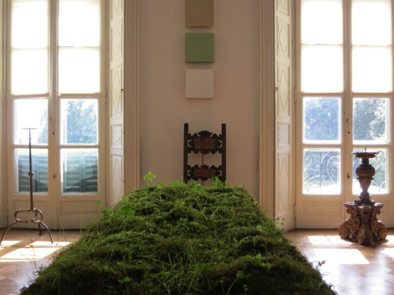 Natura naturans. Roxy Paine e Meg Webster - veduta della mostra presso Villa Panza, Varese 2015