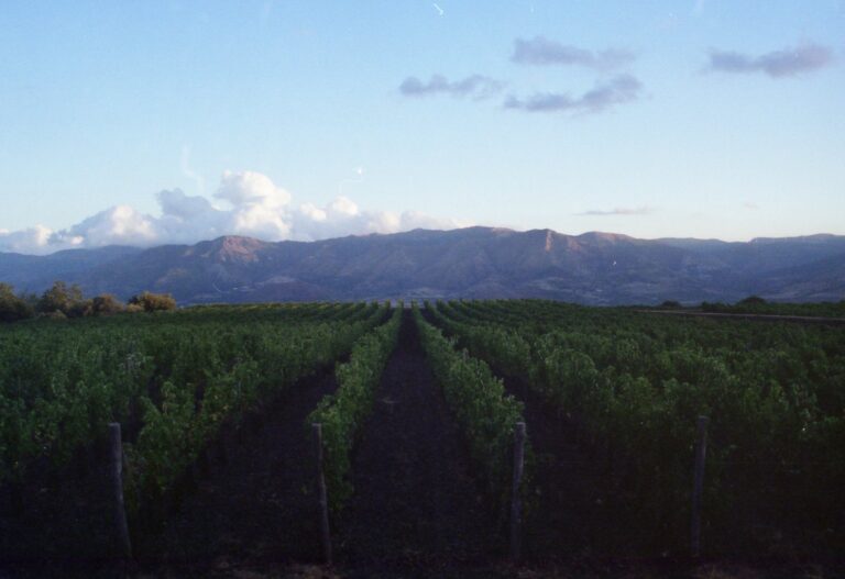 Viaggio in Sicilia VI appunti dal tour 4 Viaggio in Sicilia, quando il paesaggio si mette in ascolto. Cinque artisti per Planeta, a Palermo