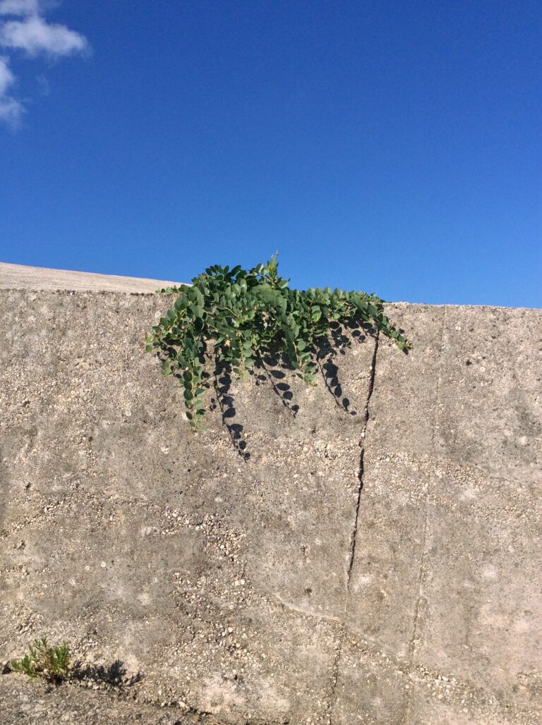 Il Grande Cretto di Gibellina dettagli 3 e1440317287293 Burriana / 5. Viaggio in Italia sulle tracce di Alberto Burri. Arrivo al Grande Cretto, sorto in Sicilia sulle rovine di Gibellina