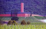 La cantina di Rocca di Frassinello progettata da Renzo Piano