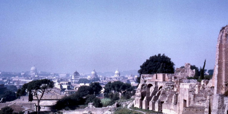 La vista dal Museo Palatino di Roma